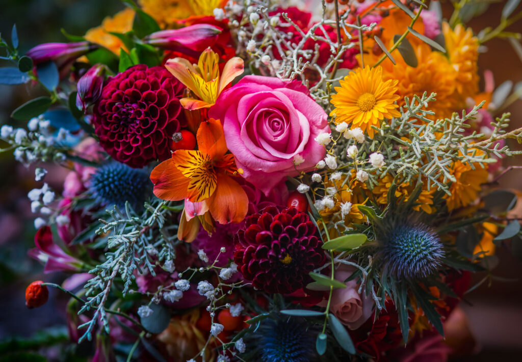 1-800-FLOWERS FAMILY OF BRANDS